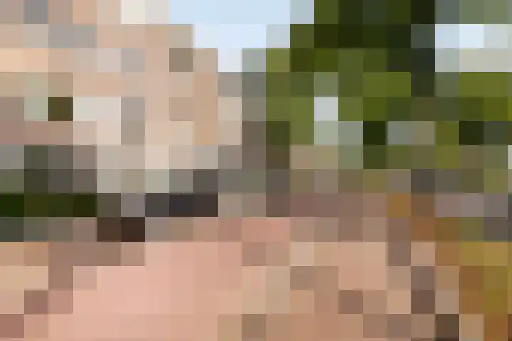 Boerhaavelaan 97 Helmond thumbnail 33