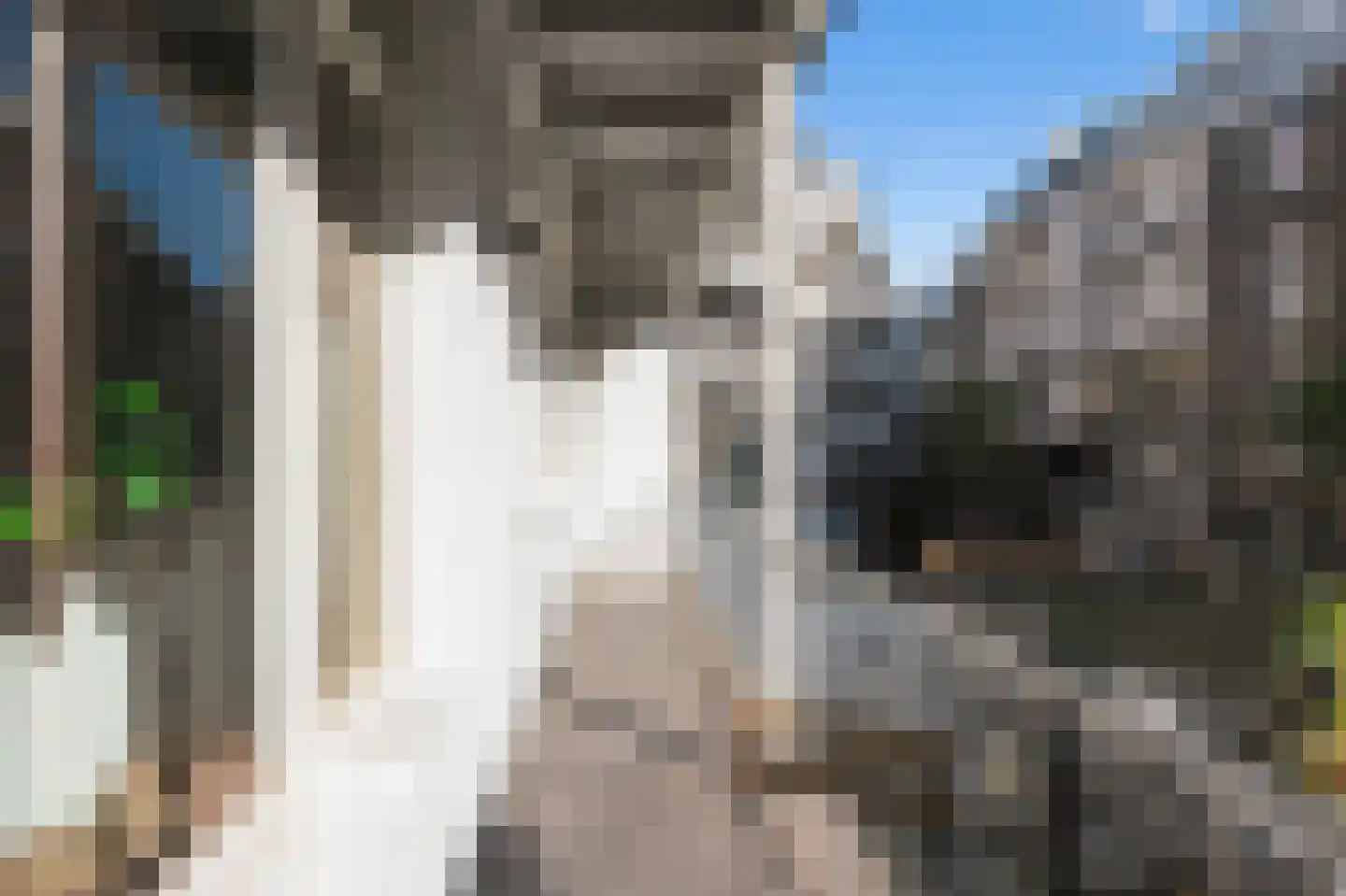 Boerhaaveplein 20 1 Amsterdam thumbnail 18