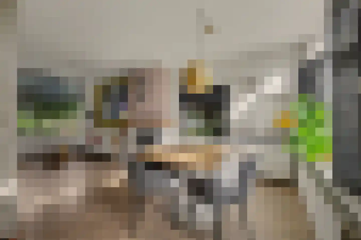 Boerhaavestraat 1 Reeuwijk thumbnail 12