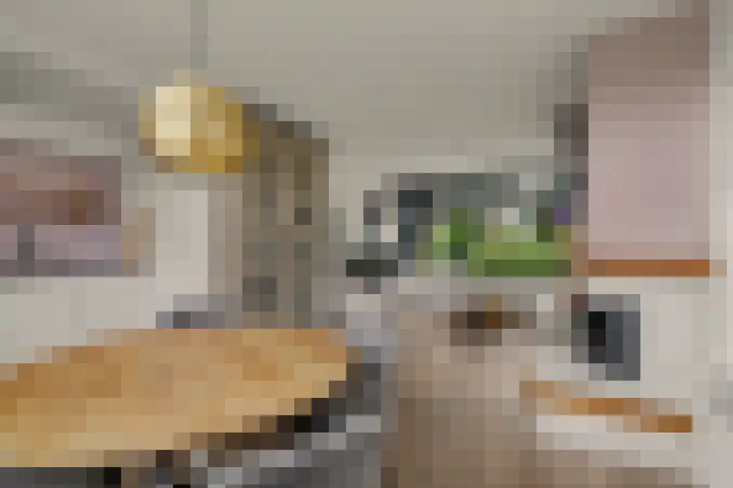 Boerhaavestraat 1 Reeuwijk thumbnail 13