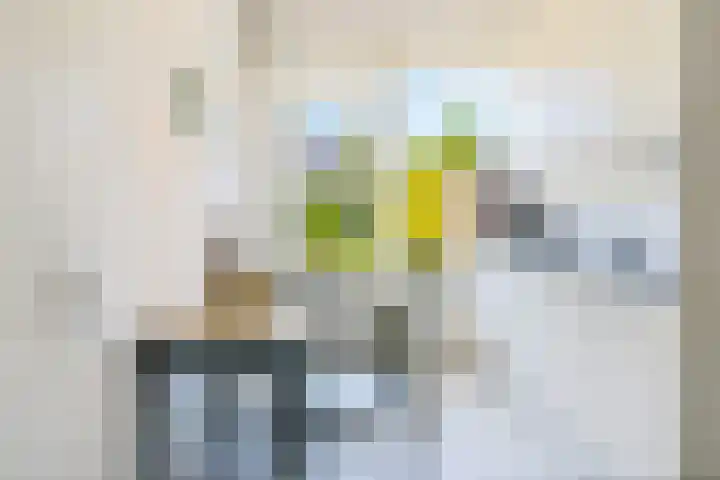 Boerhaavestraat 10 Geleen thumbnail 10