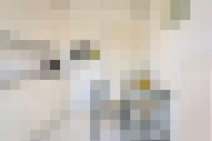 Boerhaavestraat 10 Geleen thumbnail 11