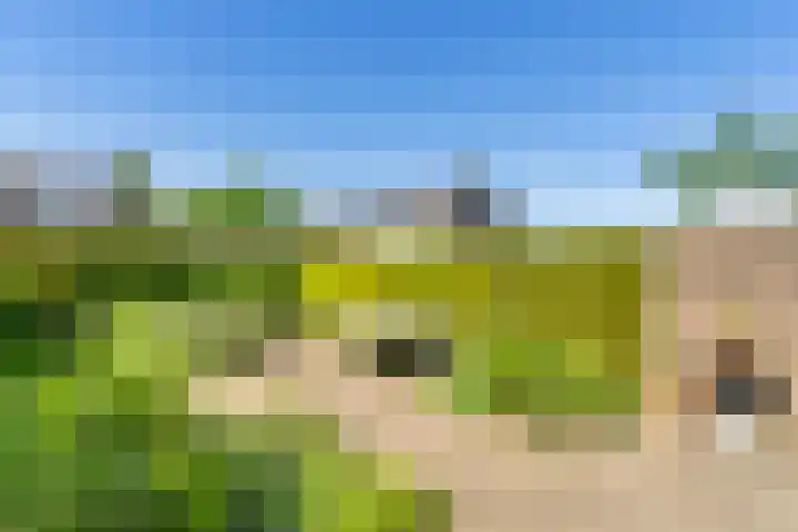 Boerhaavestraat 10 Geleen thumbnail 20