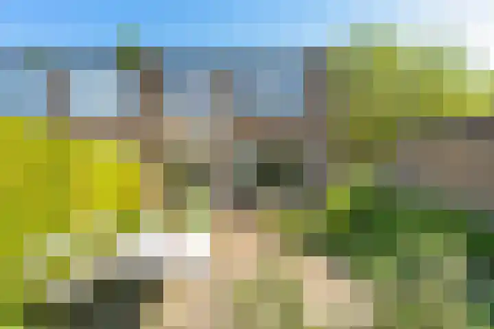 Boerhaavestraat 10 Geleen thumbnail 21