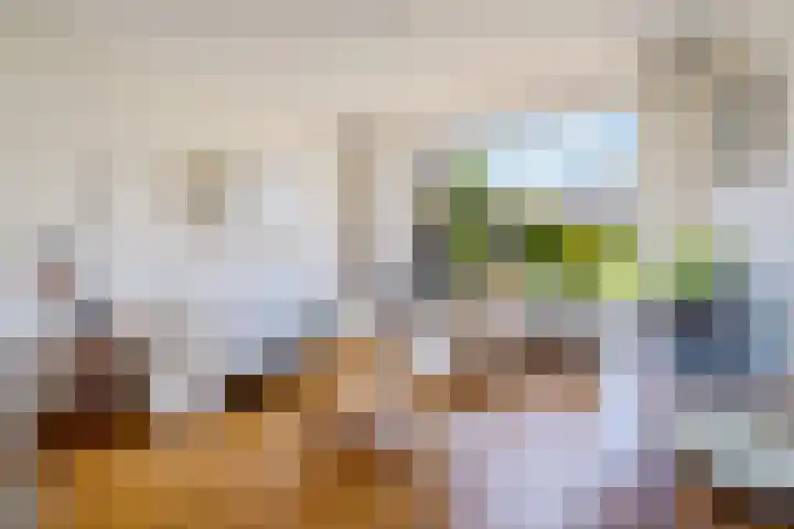 Boerhaavestraat 10 Geleen thumbnail 5