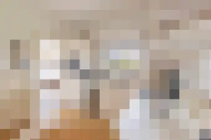 Boerhaavestraat 11 Venlo thumbnail 10