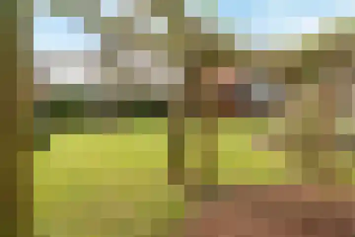 Boerhaavestraat 11 Venlo thumbnail 15