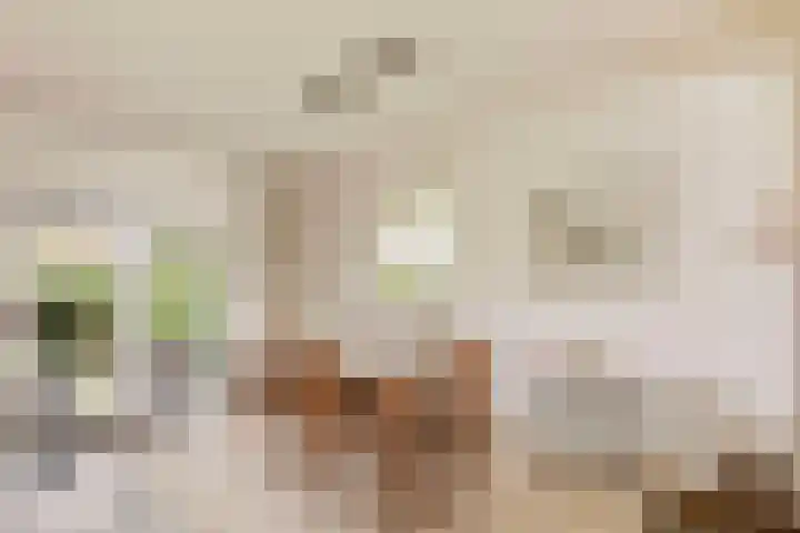 Boerhaavestraat 11 Venlo thumbnail 8