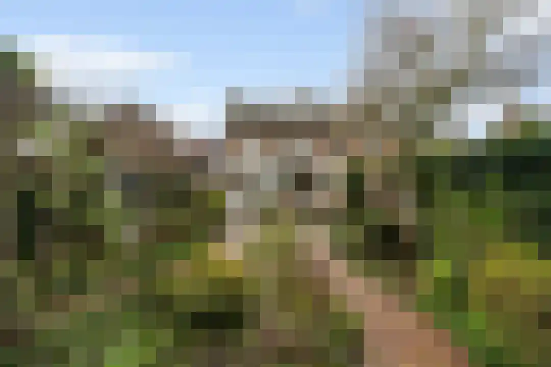 Boerhaavestraat 11 Weert thumbnail 51