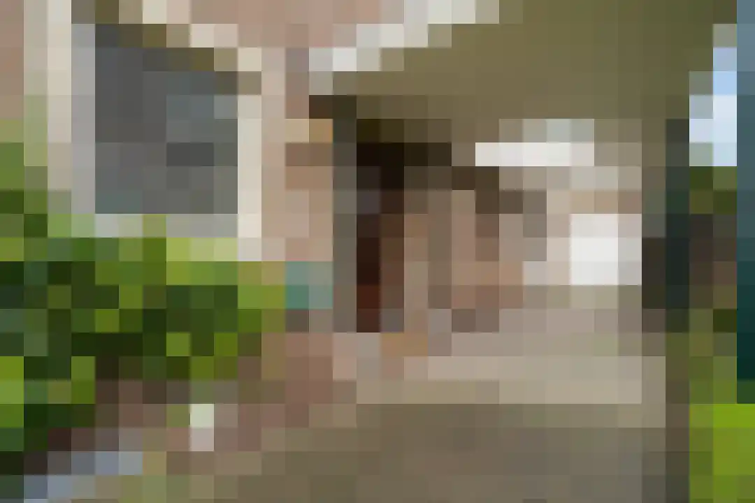 Boerhaavestraat 11 Weert thumbnail 7