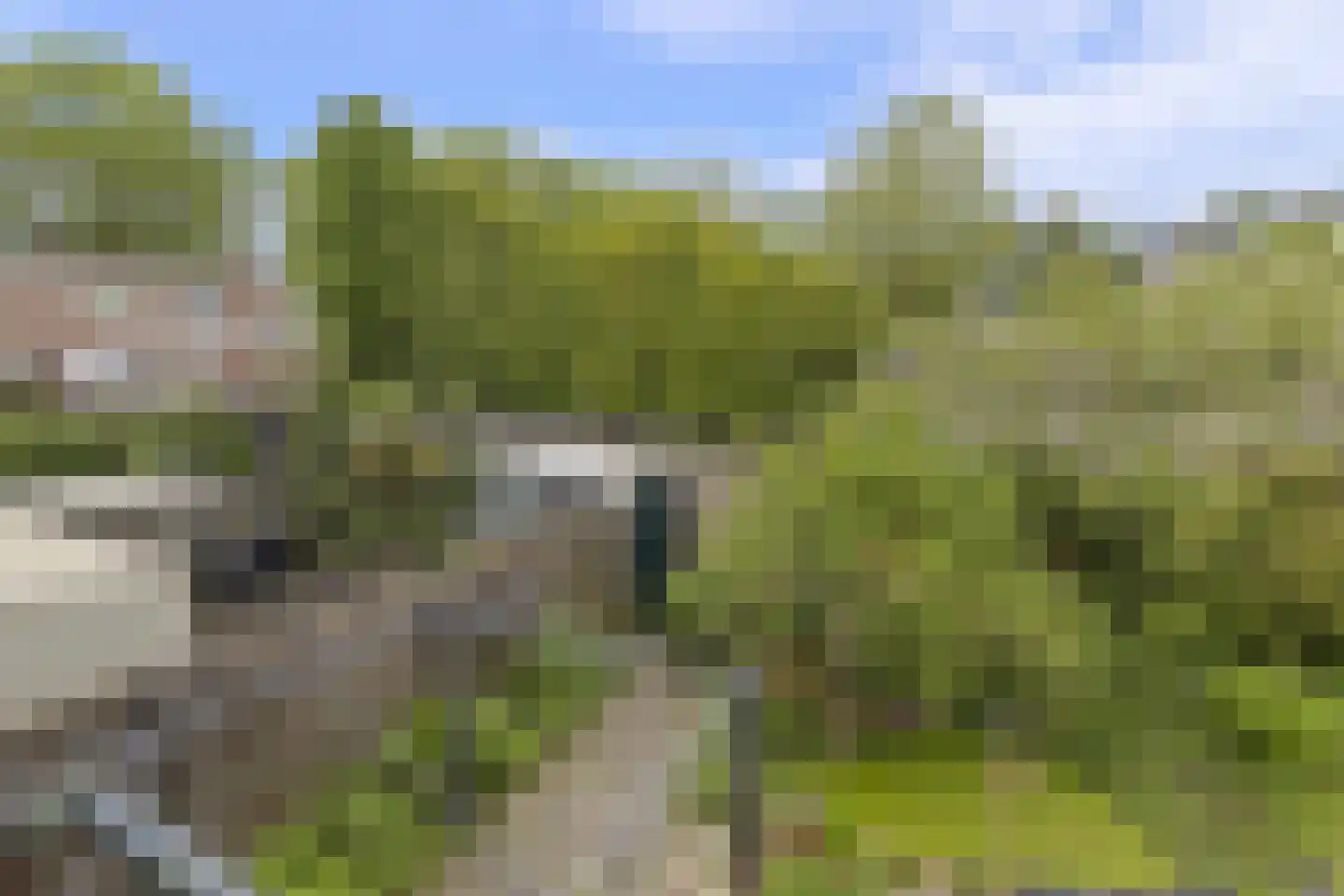 Boerhaavestraat 12 Geleen thumbnail 26