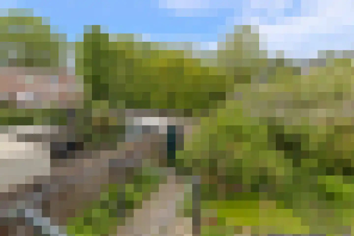 Boerhaavestraat 12 Geleen thumbnail 26