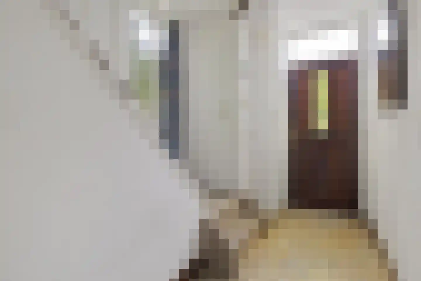 Boerhaavestraat 12 Geleen thumbnail 4