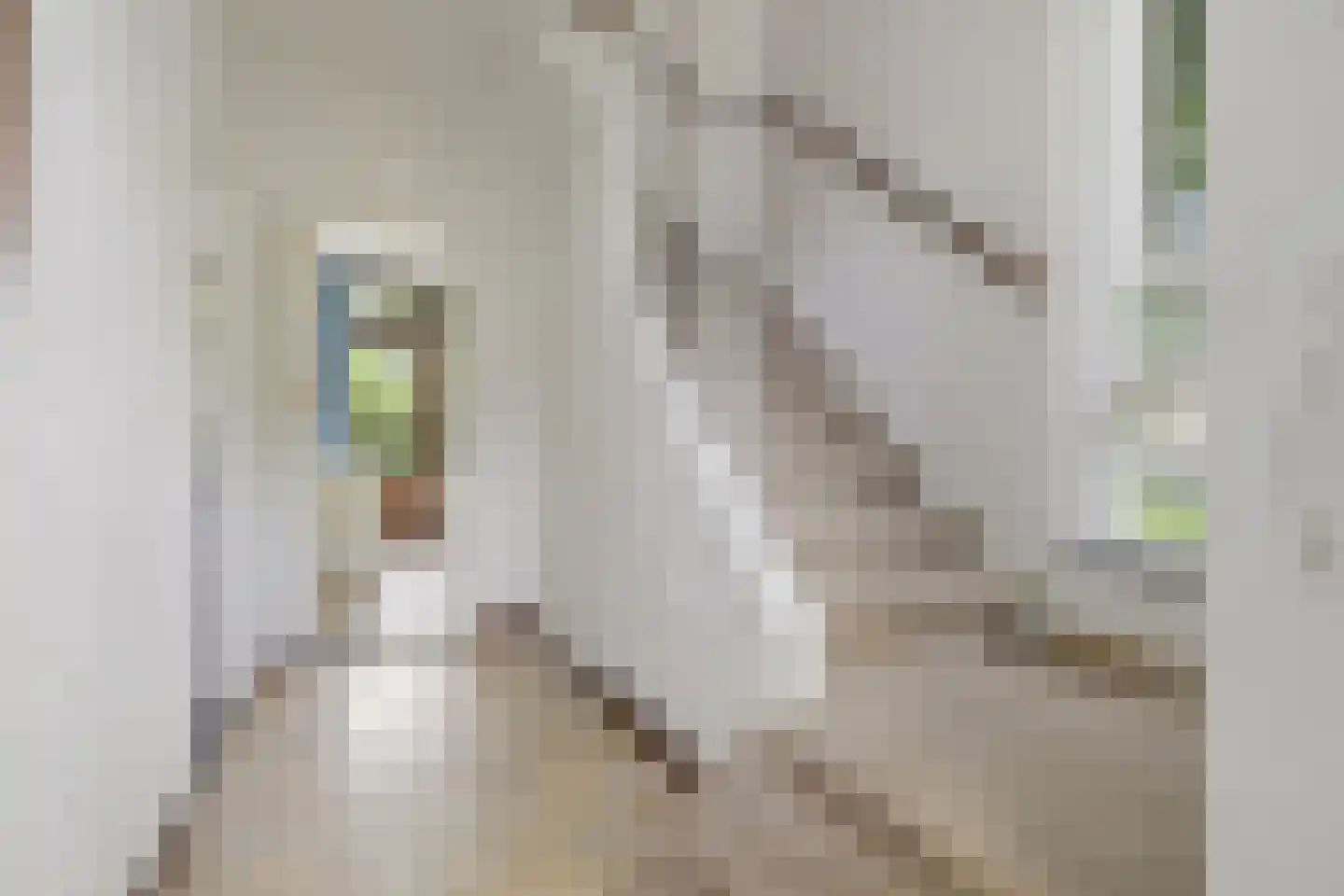Boerhaavestraat 12 Geleen thumbnail 5