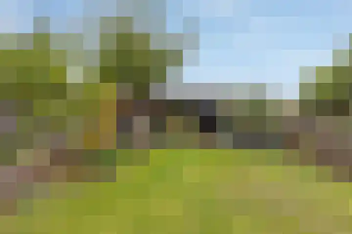 Boerhaavestraat 14 Brunssum thumbnail 26