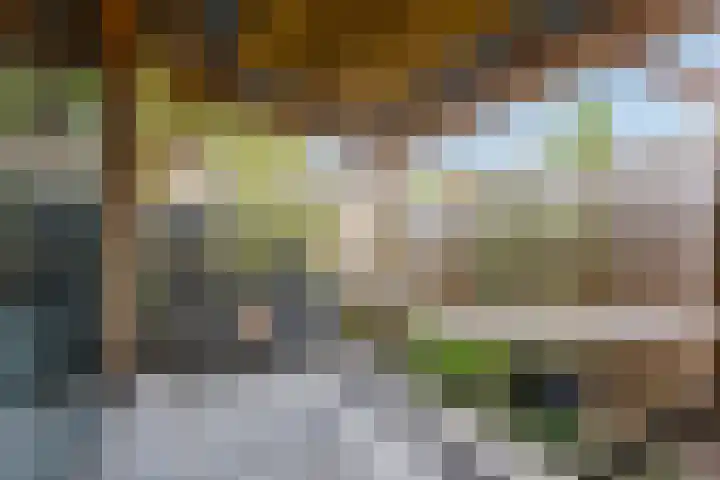 Boerhaavestraat 14 Brunssum thumbnail 31