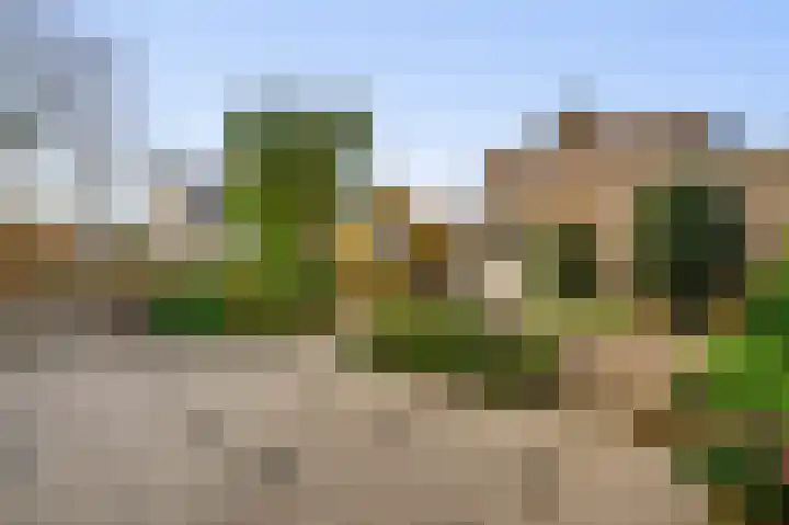 Boerhaavestraat 15 Geleen thumbnail 18