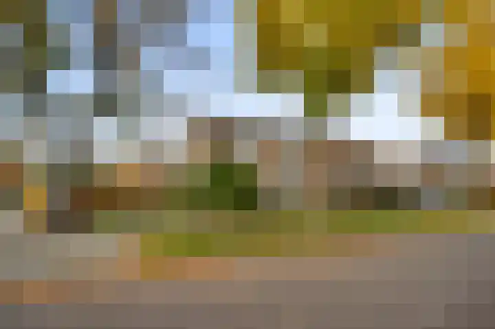 Boerhaavestraat 15 Geleen thumbnail 23