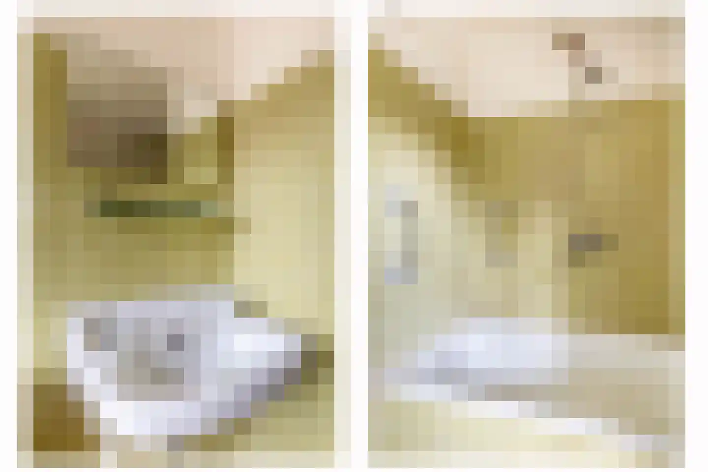 Boerhaavestraat 15 Veghel thumbnail 23
