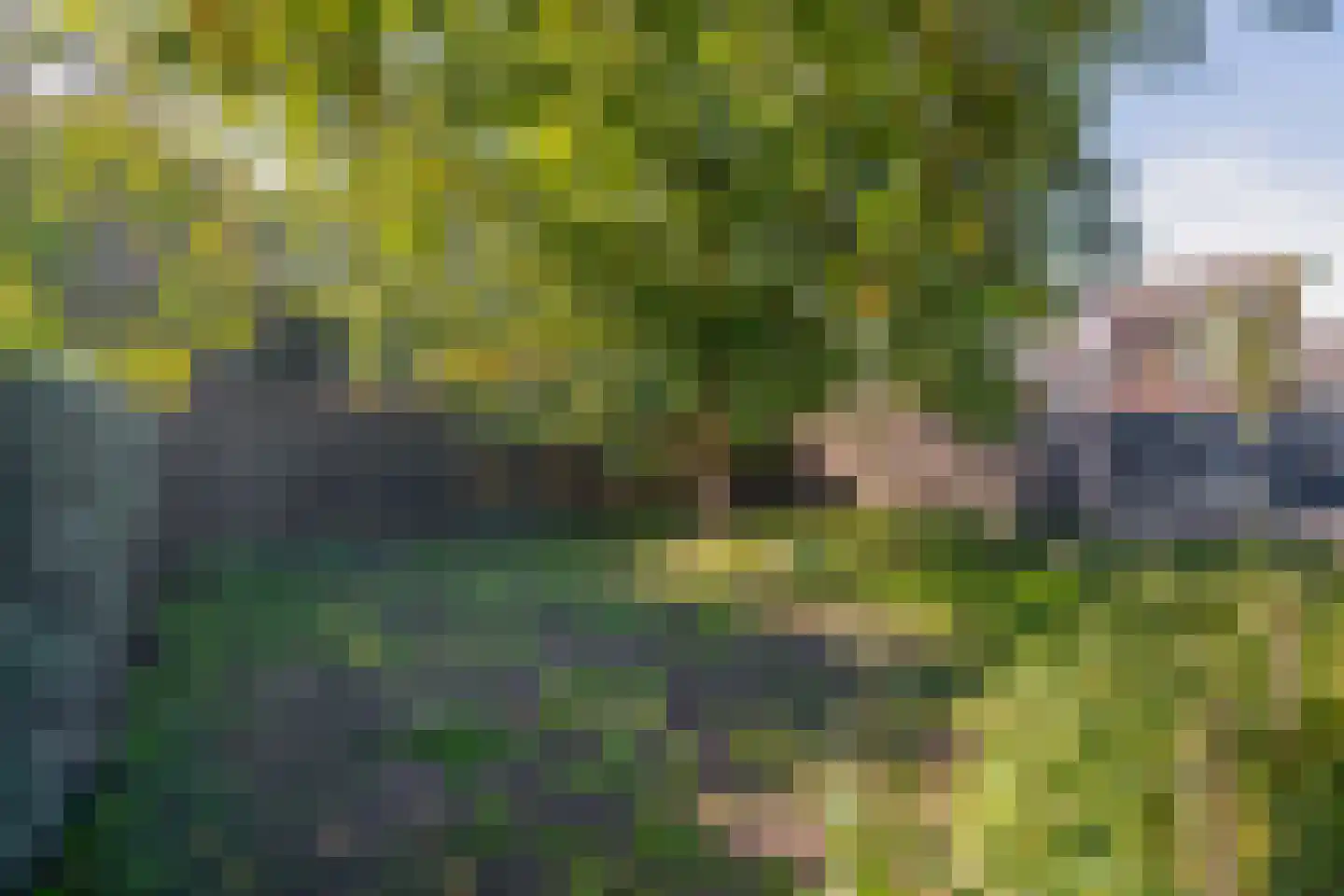 Boerhaavestraat 15 Veghel thumbnail 27