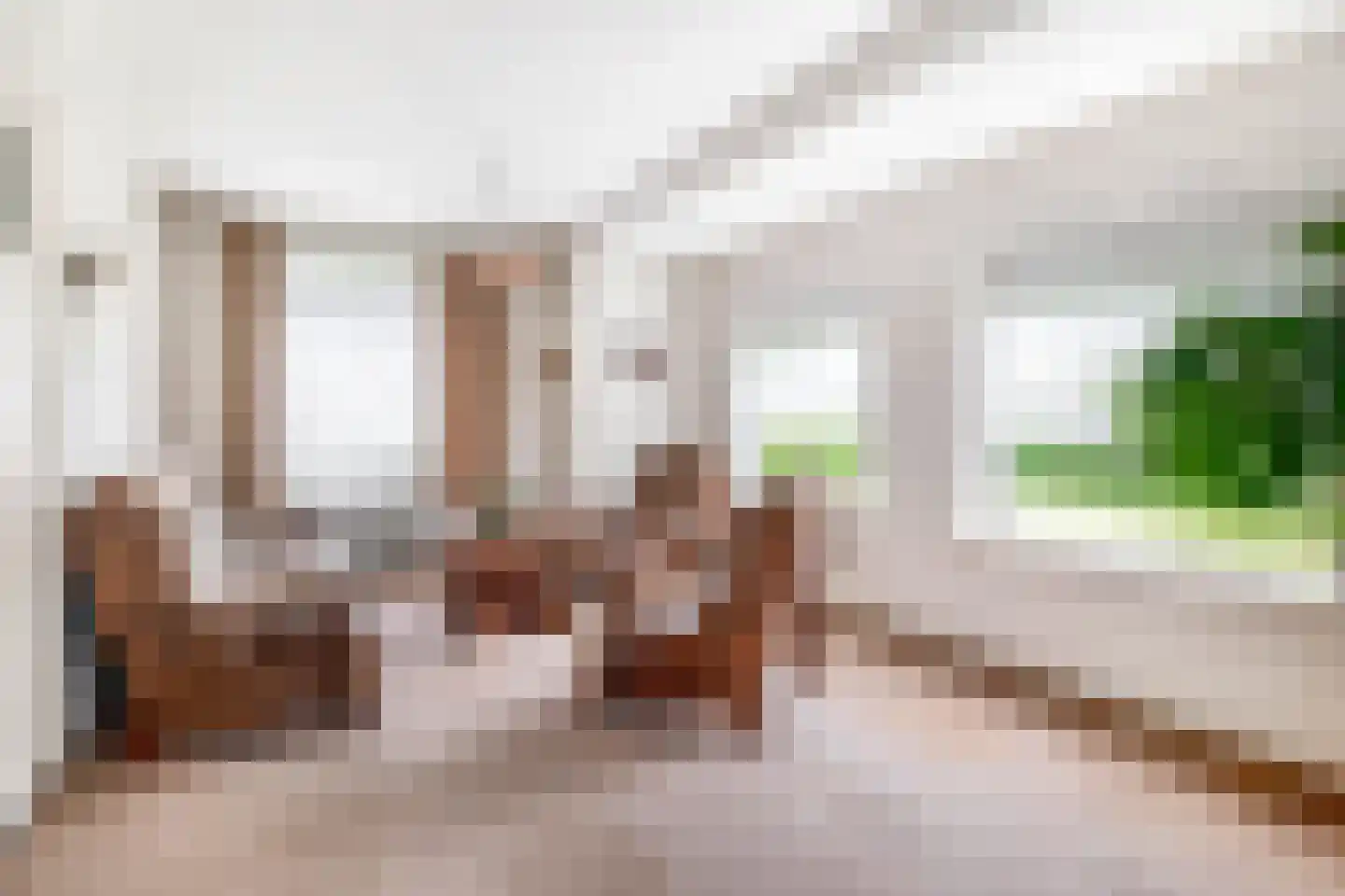 Boerhaavestraat 15 Veghel thumbnail 6