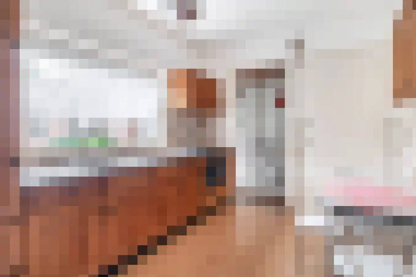 Boerhaavestraat 15 Veghel thumbnail 8