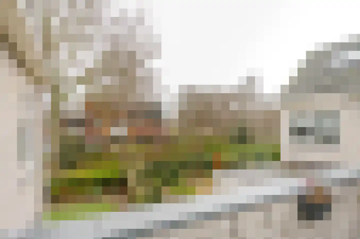 Boerhaavestraat 151 Vlaardingen thumbnail 16