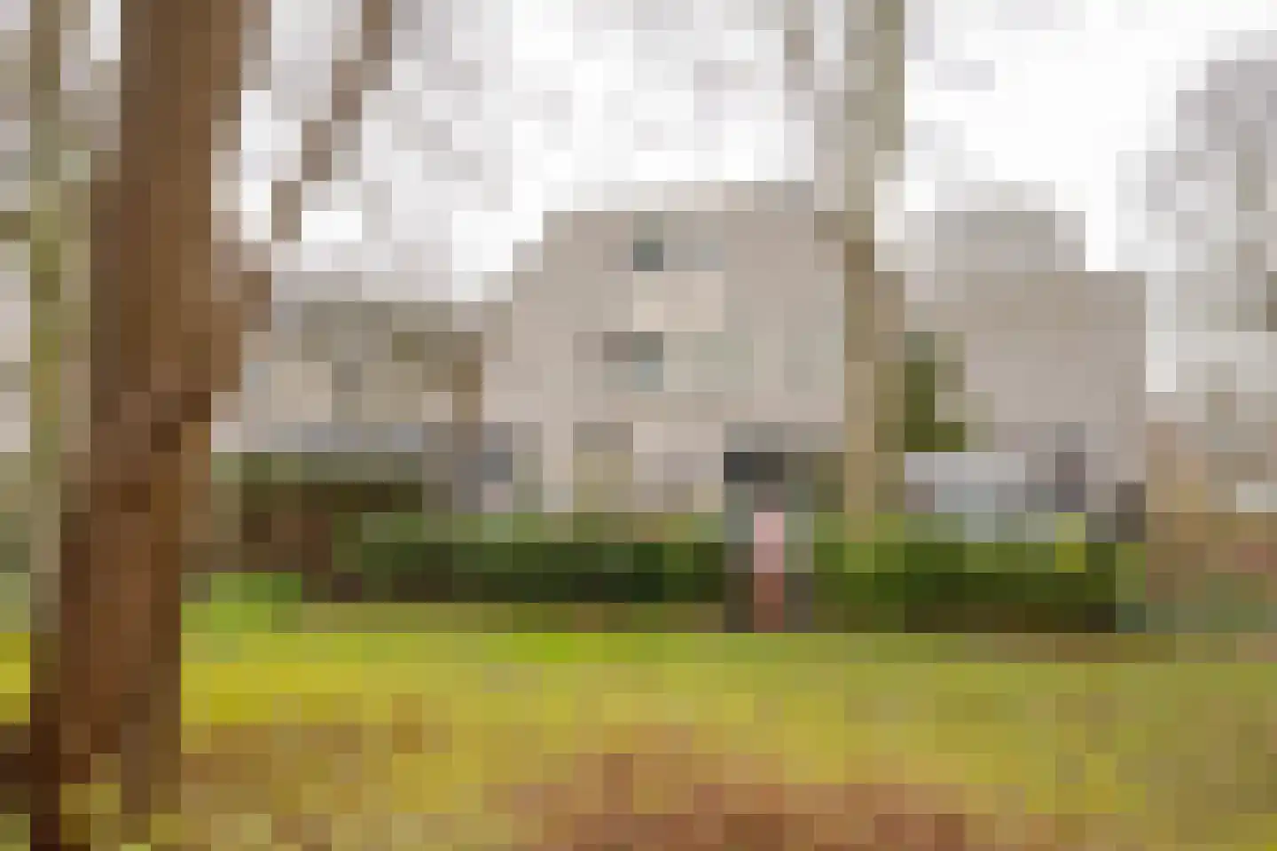 Boerhaavestraat 151 Vlaardingen thumbnail 28