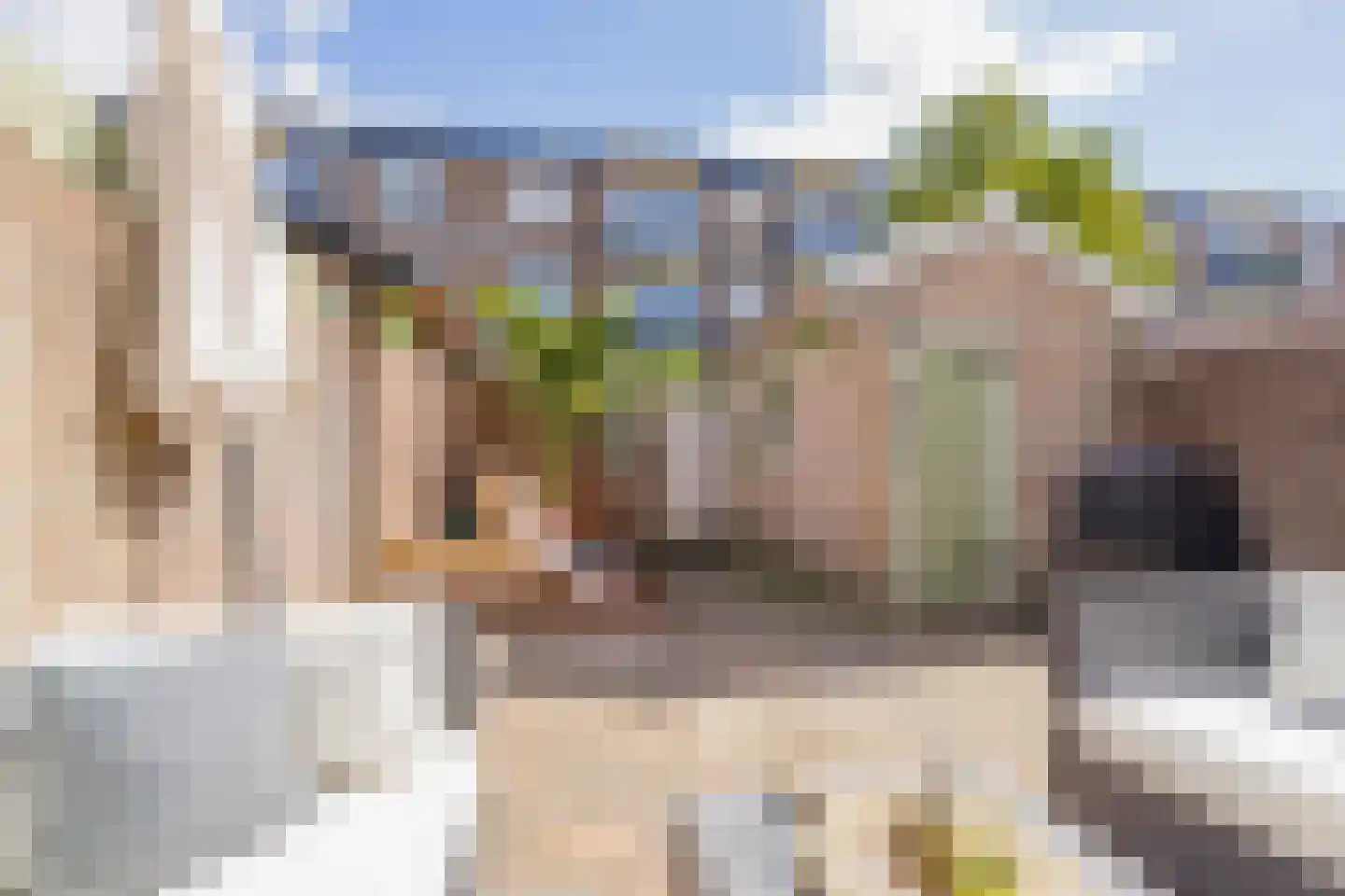 Boerhaavestraat 17 IJmuiden thumbnail 14
