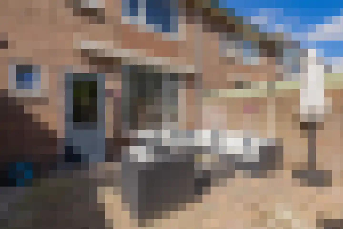 Boerhaavestraat 17 IJmuiden thumbnail 16