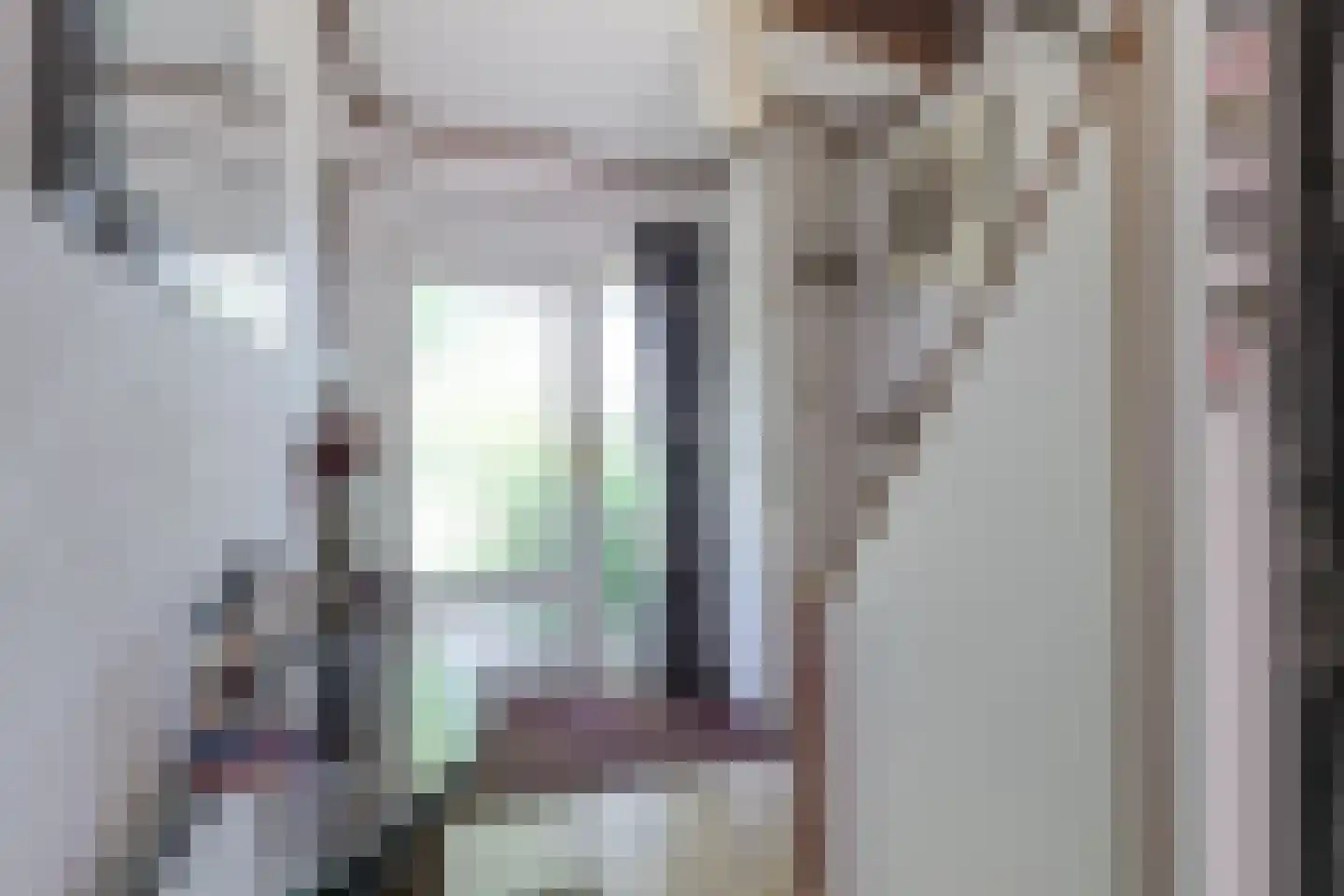 Boerhaavestraat 2 Bovenkarspel thumbnail 13