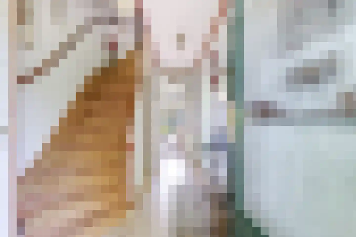 Boerhaavestraat 2 Bovenkarspel thumbnail 14
