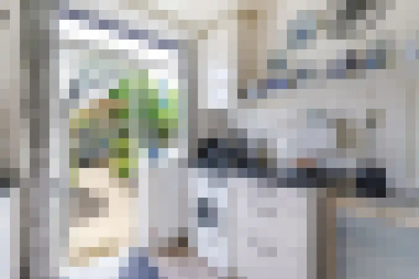 Boerhaavestraat 2 Bovenkarspel thumbnail 25