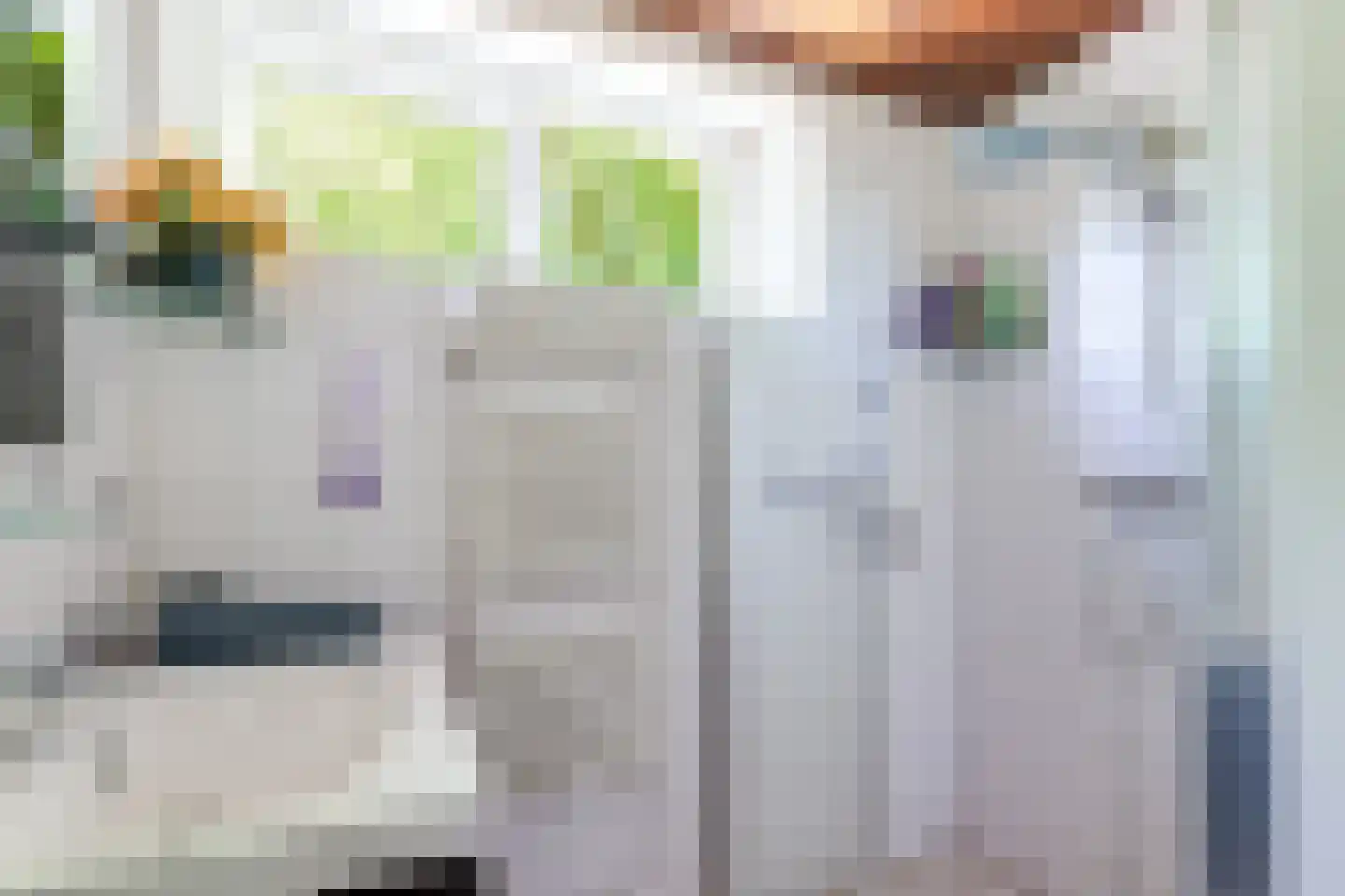 Boerhaavestraat 2 Bovenkarspel thumbnail 35