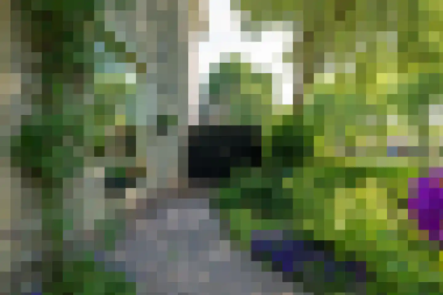 Boerhaavestraat 2 Bovenkarspel thumbnail 56