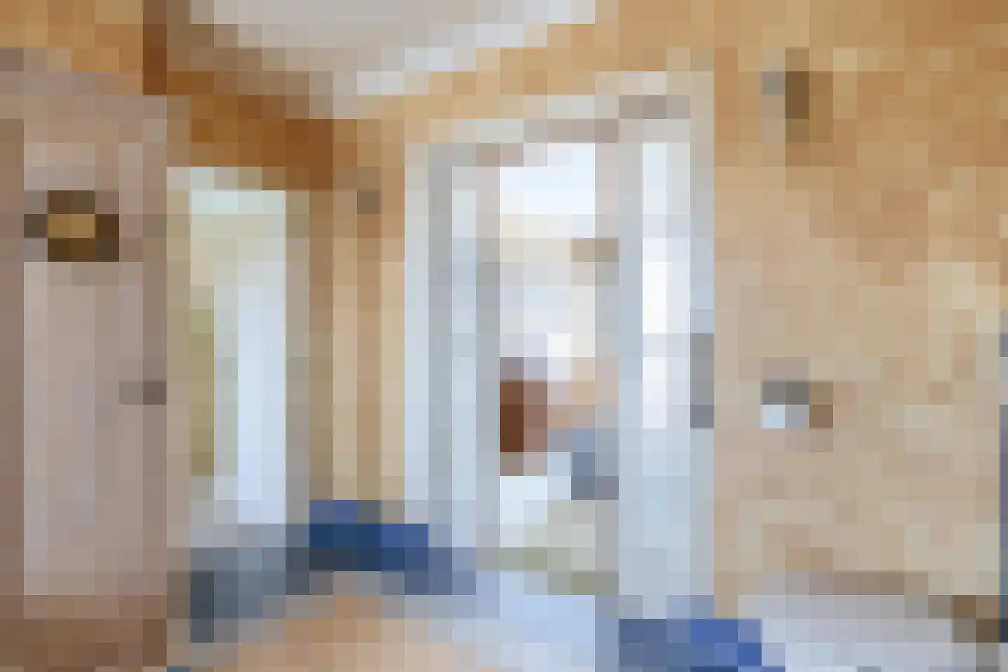Boerhaavestraat 23 Den Helder thumbnail 30