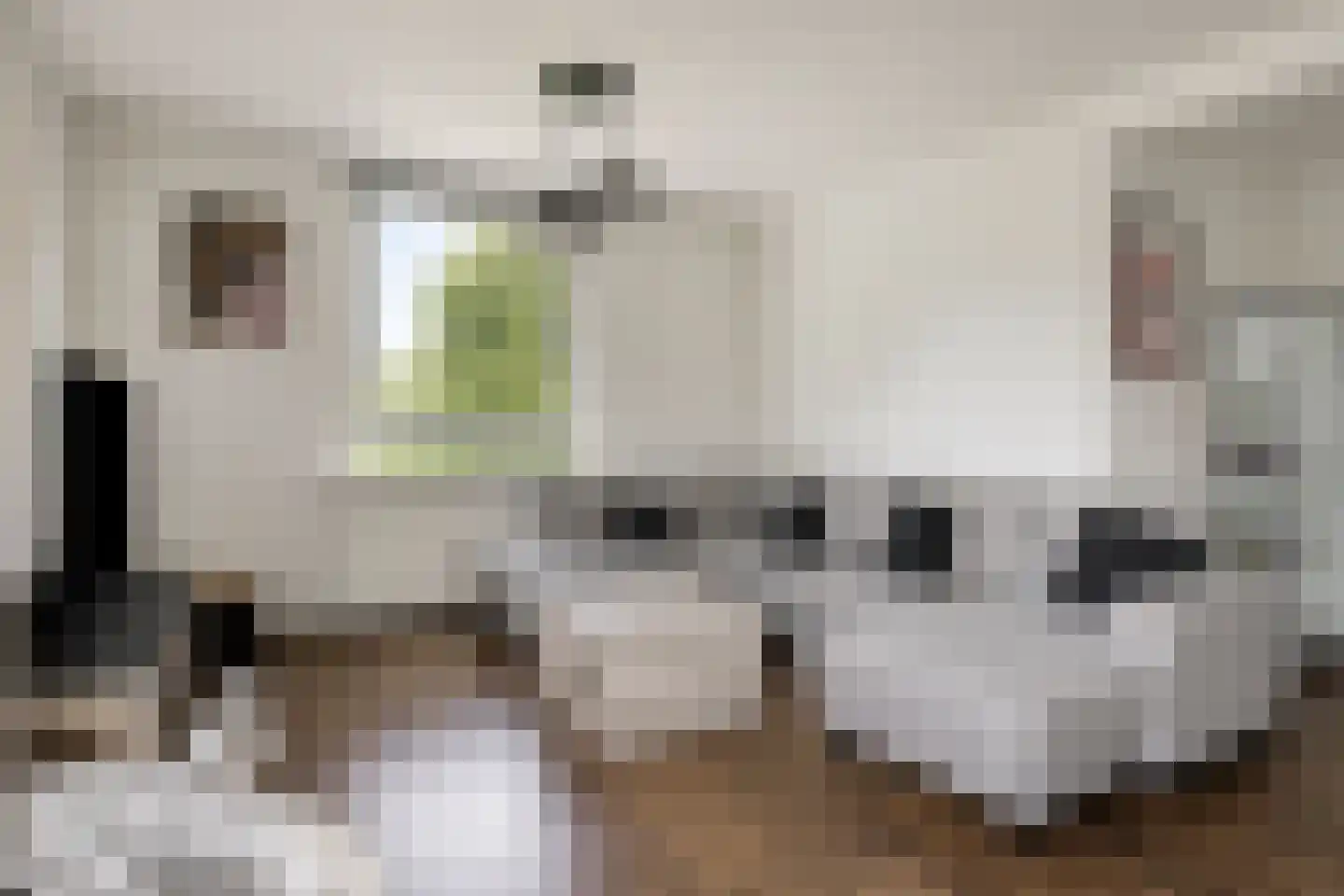 Boerhaavestraat 269 Vlaardingen thumbnail 5