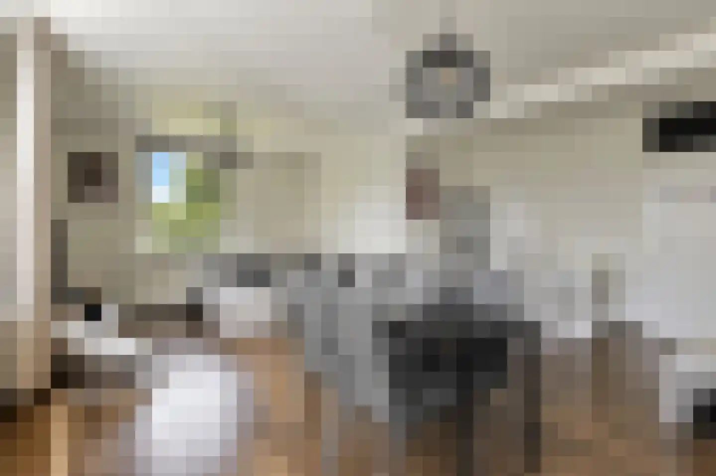 Boerhaavestraat 269 Vlaardingen thumbnail 7