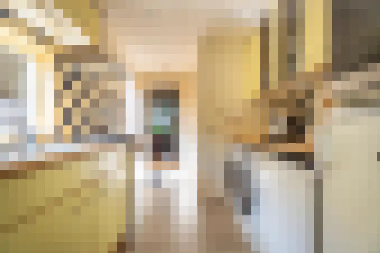 Boerhaavestraat 27 Voorhout thumbnail 6