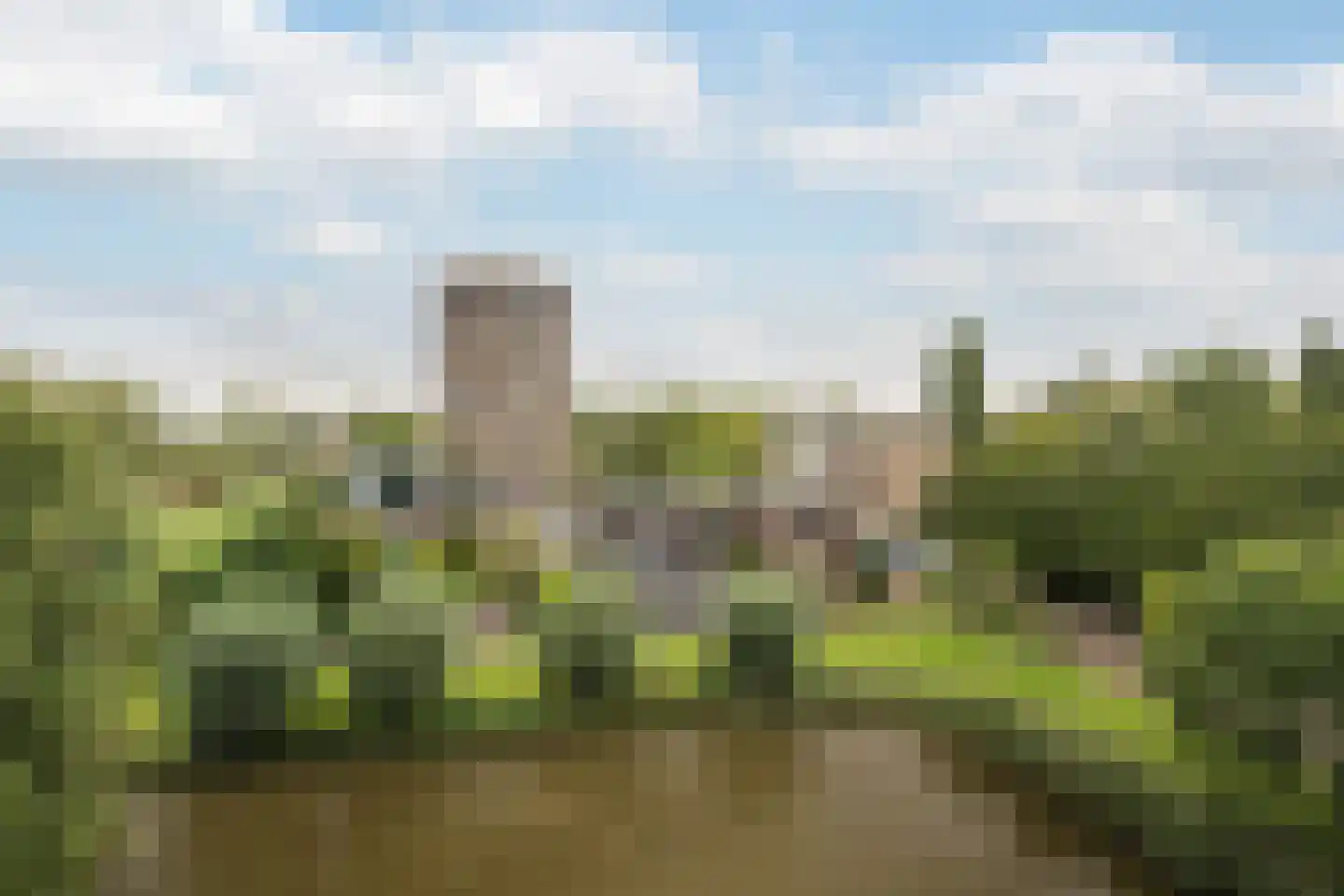 Boerhaavestraat 289 Vlaardingen thumbnail 16