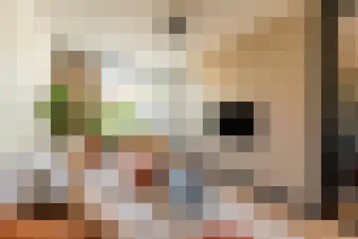 Boerhaavestraat 3 Voorhout thumbnail 13