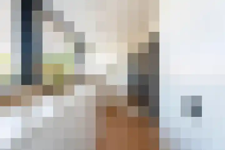 Boerhaavestraat 3 Voorhout thumbnail 23