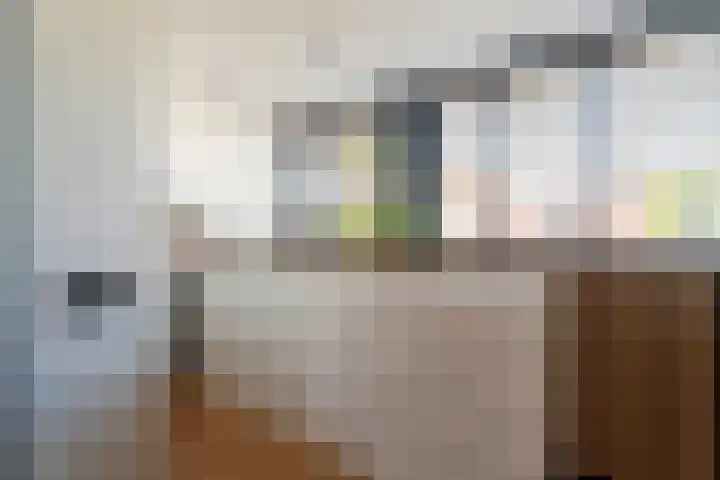 Boerhaavestraat 3 Voorhout thumbnail 24