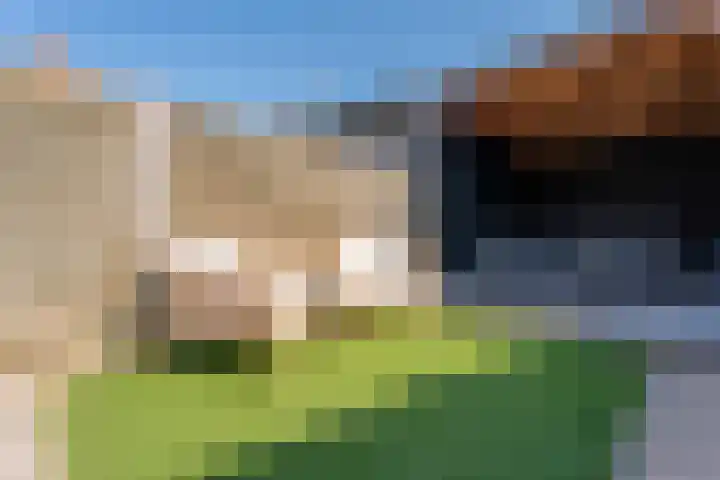 Boerhaavestraat 3 Voorhout thumbnail 26
