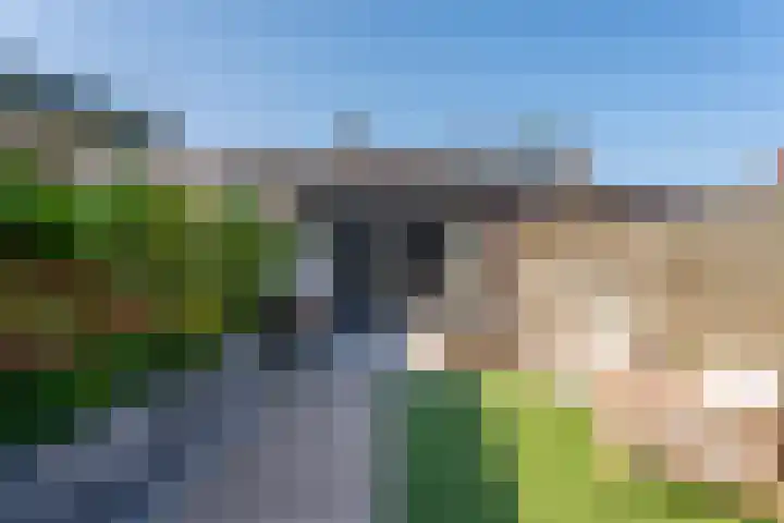 Boerhaavestraat 3 Voorhout thumbnail 28
