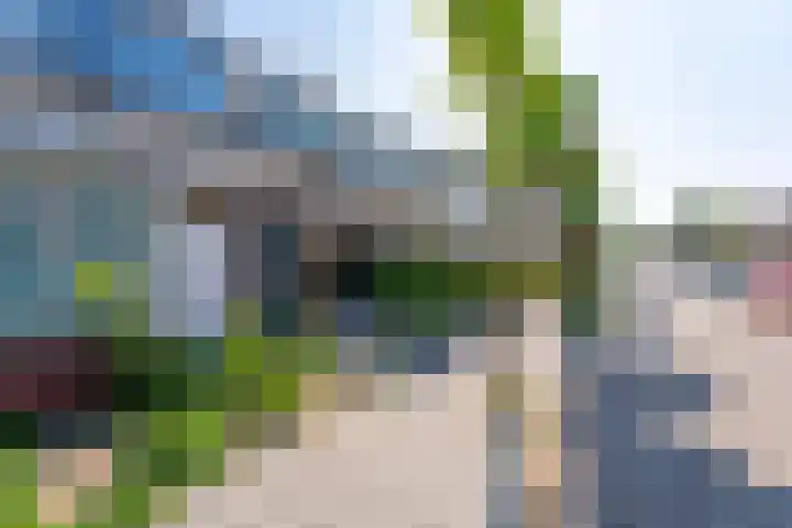 Boerhaavestraat 3 Voorhout thumbnail 30