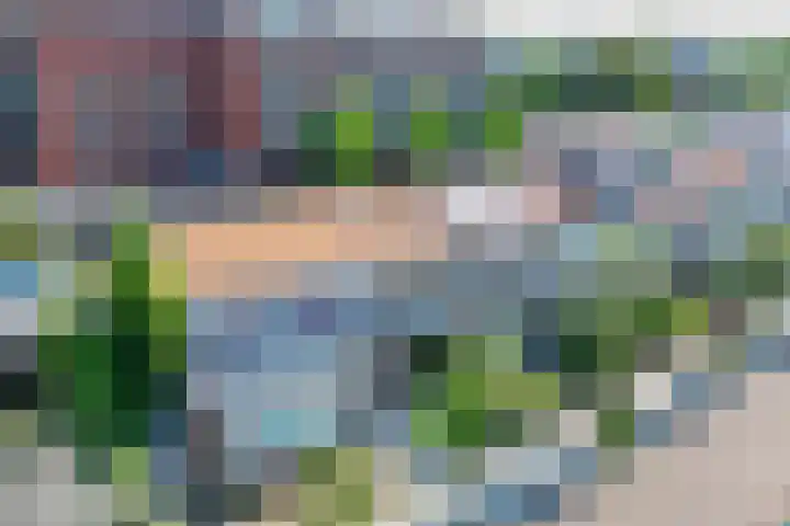 Boerhaavestraat 3 Voorhout thumbnail 33