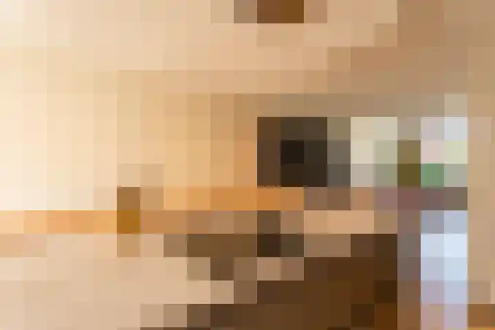 Boerhaavestraat 3 Voorhout thumbnail 6