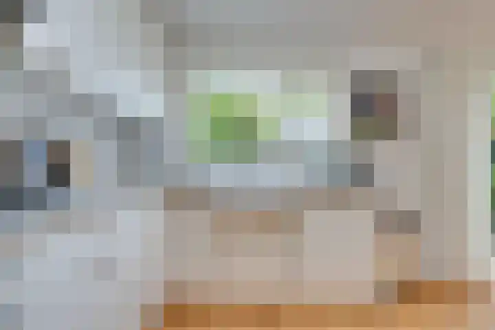 Boerhaavestraat 30 Bovenkarspel thumbnail 15