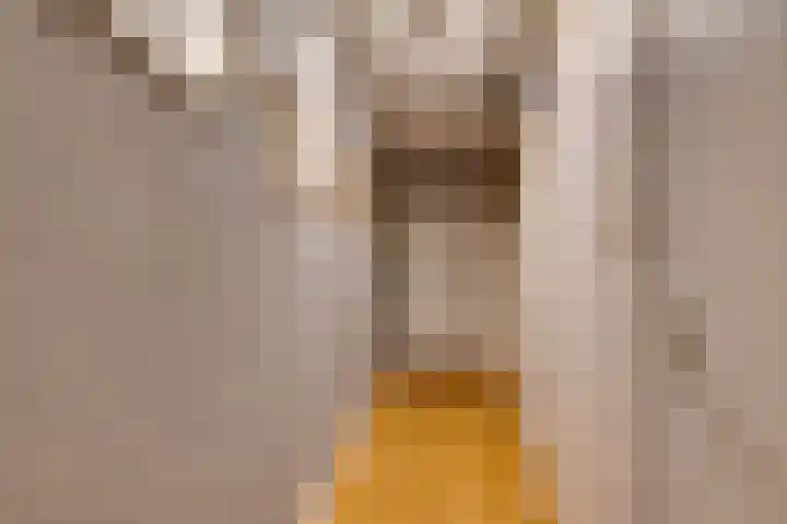 Boerhaavestraat 30 Bovenkarspel thumbnail 22